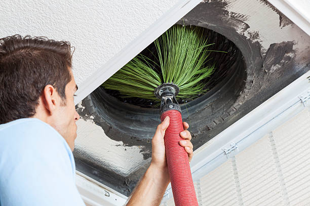 Best HVAC Air Duct Cleaning  in Pahoa, HI